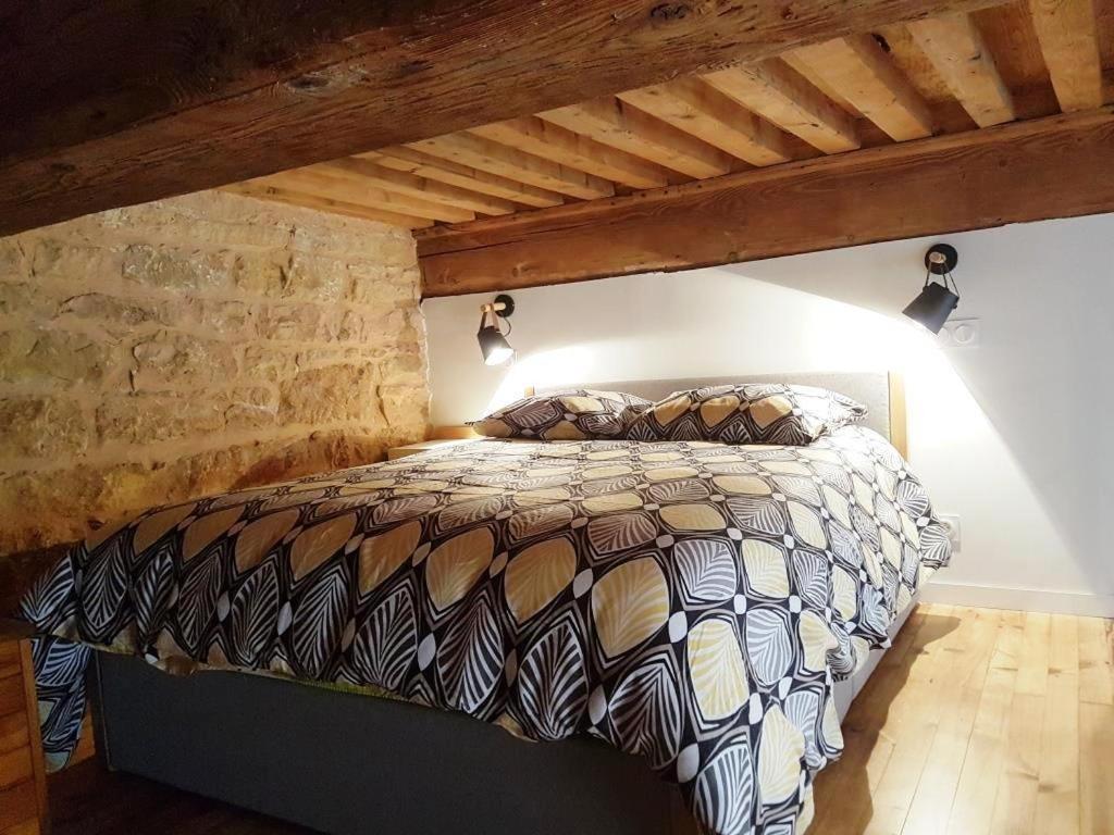 Cosy Appartement, Dans Les Pentes De La Croix Rousse Lyon Exteriör bild